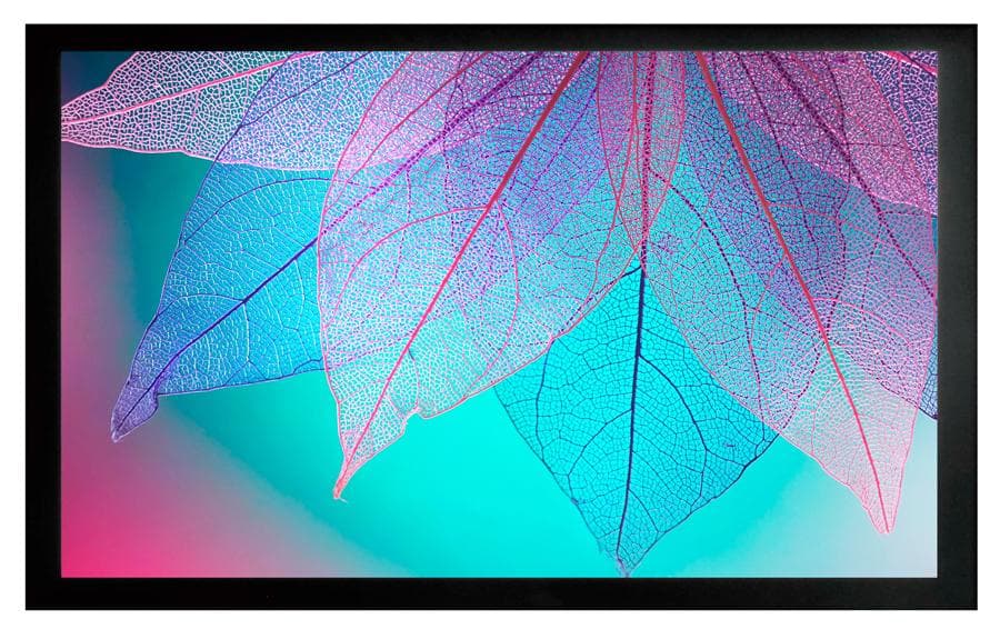 Проекционный экран Cactus Frame Expert (CS-PSFRE-220X124)