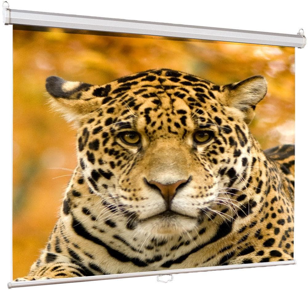 Проекционный экран Lumien Eco Picture (LEP-100101)