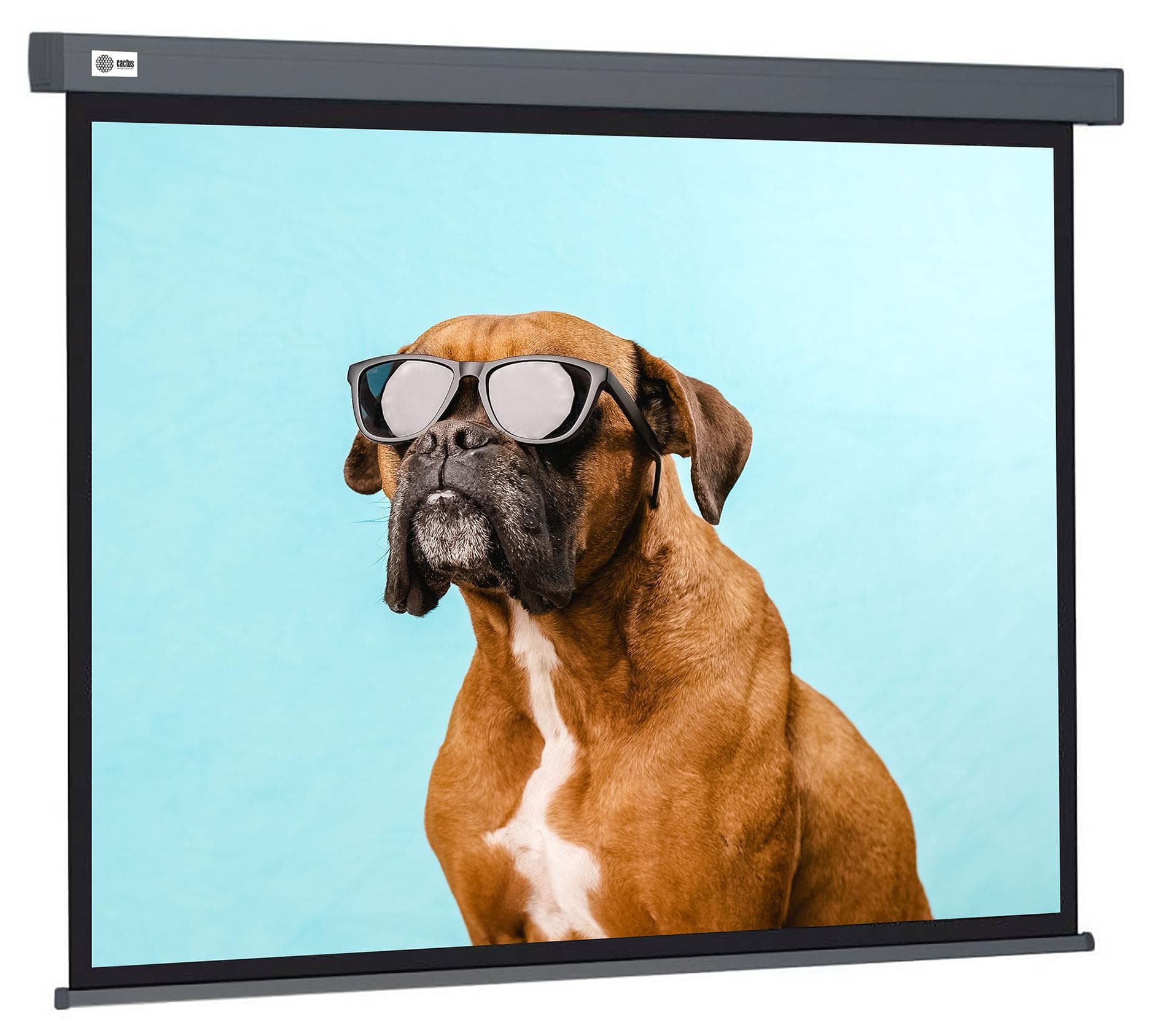 Проекционный экран Cactus CS-PSW-149X265-SG серый