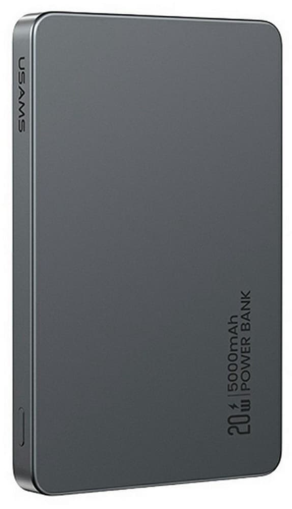 Портативное зарядное устройство Usams CD231 Tarnish (5KCD23101)
